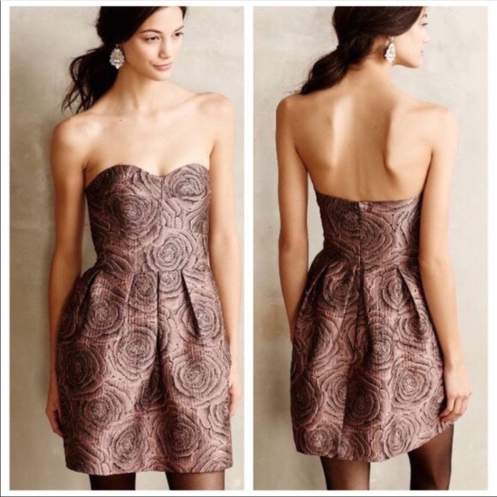 Anthropologie Hutch Candy Rose jacquard dress 10